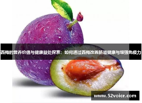 西梅的营养价值与健康益处探索：如何通过西梅改善肠道健康与增强免疫力