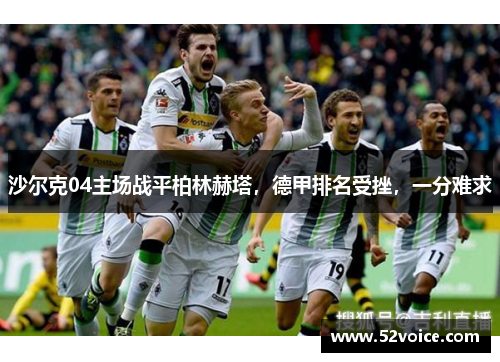 沙尔克04主场战平柏林赫塔，德甲排名受挫，一分难求