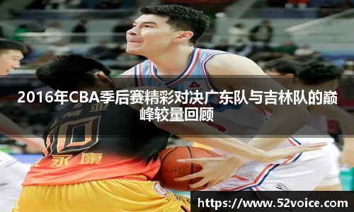球速体育平台登录入口