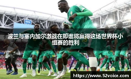 球速体育官方