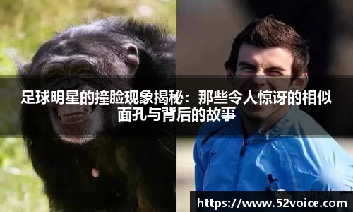 球速体育