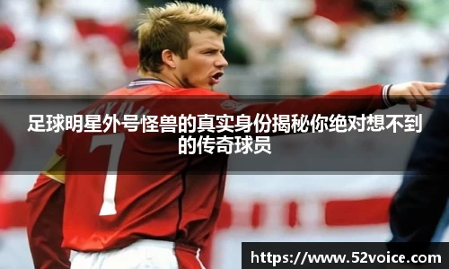 球速体育平台登录入口